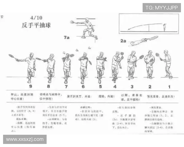 乒乓球运动的魅力与技术分析：从基础技巧到职业竞技的全方位探讨