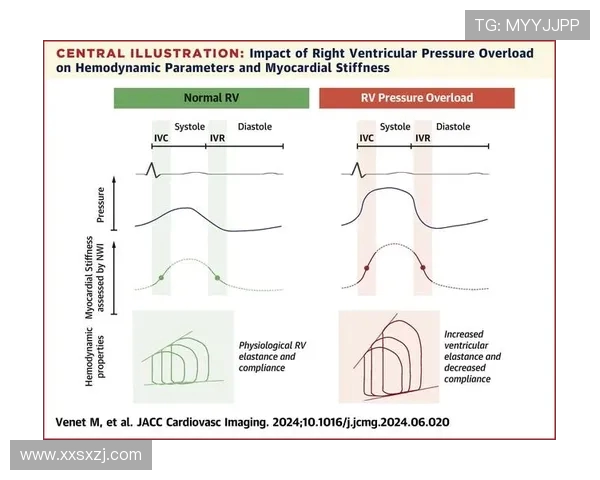 FPX在Major赛中的个人能力分析与表现评估