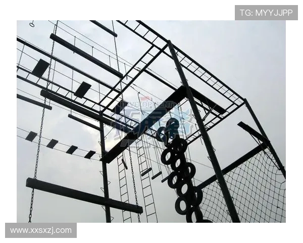 深圳极限运动队心理素质分析与提升策略探讨