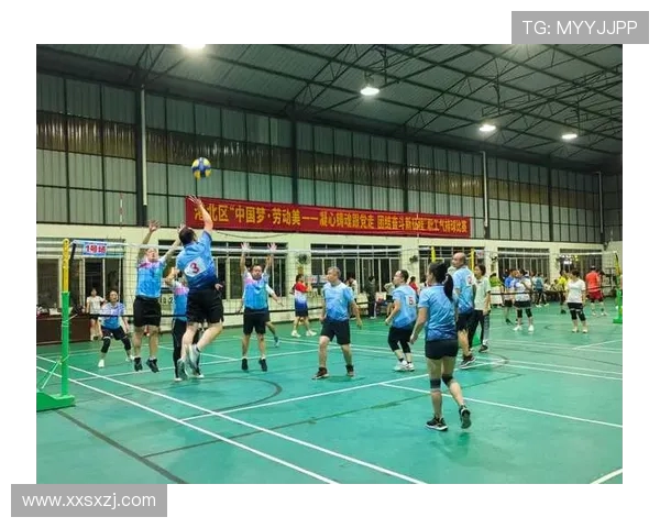 深度对话赵秀英排球生涯的奋斗与梦想探索