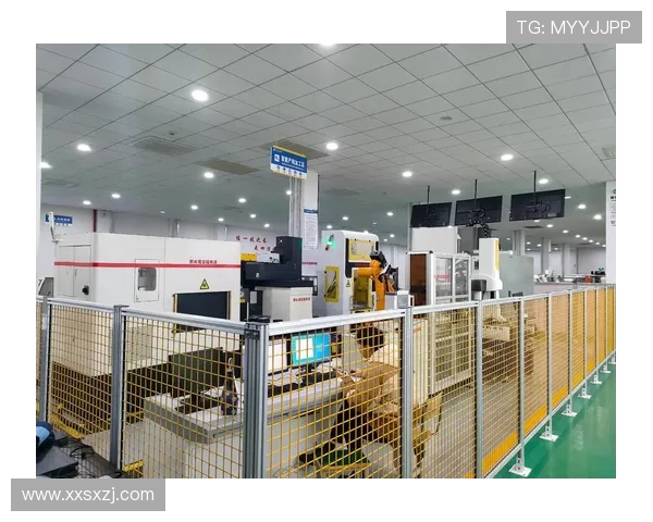 以苏州KSG为核心,探索智能制造与城市发展融合的新机遇与挑战 以苏州KSG为核心,探索智能制造与城市发展融合的新机遇与挑战